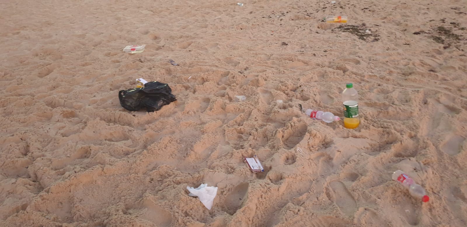 WhatsApp Image 2020-08-03 at 7.58.28 PM.jpeg.jpeg